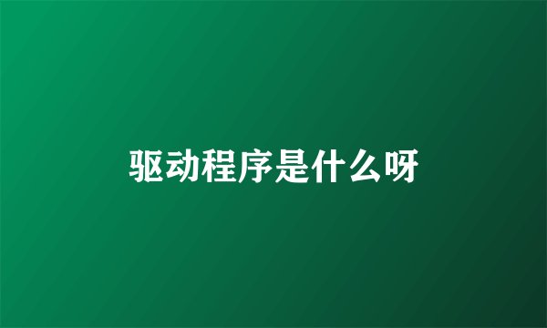 驱动程序是什么呀