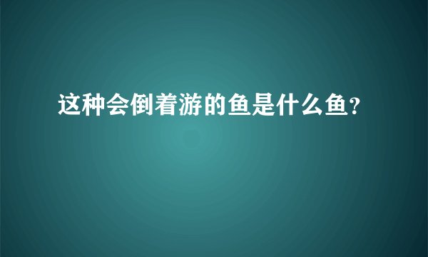 这种会倒着游的鱼是什么鱼？