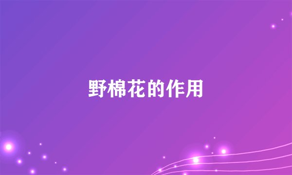 野棉花的作用