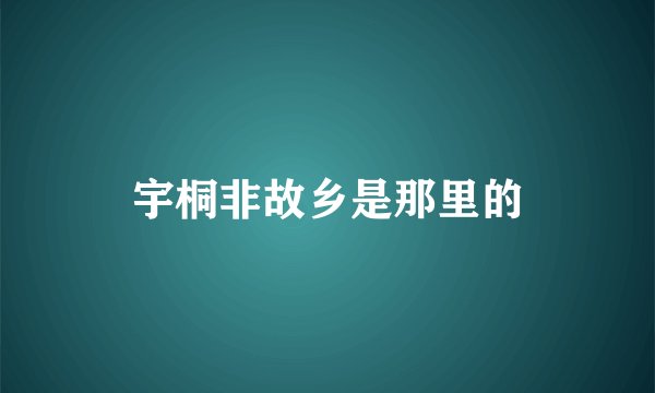 宇桐非故乡是那里的