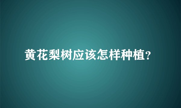 黄花梨树应该怎样种植?