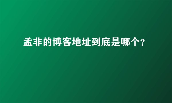 孟非的博客地址到底是哪个？