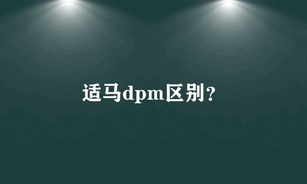 适马dpm区别？
