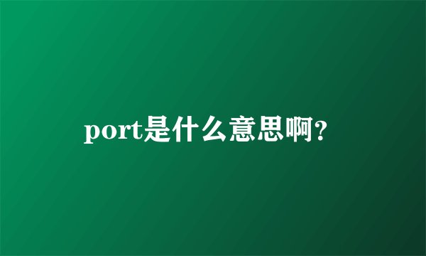 port是什么意思啊？
