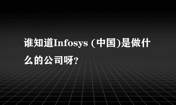 谁知道Infosys (中国)是做什么的公司呀？
