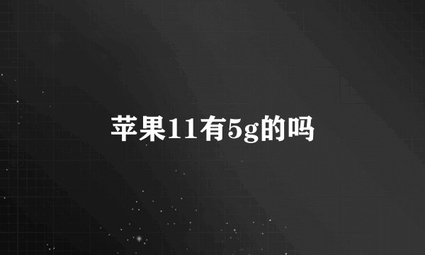 苹果11有5g的吗