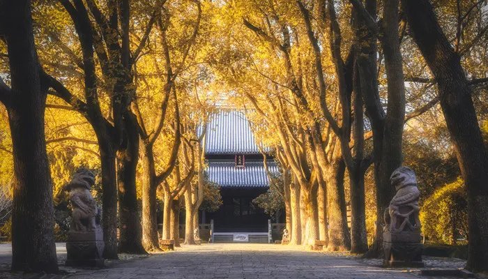 古代君王为什么自称寡人