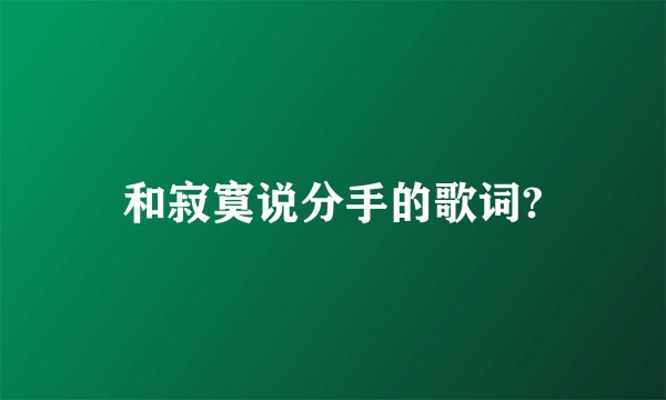 和寂寞说分手的歌词?