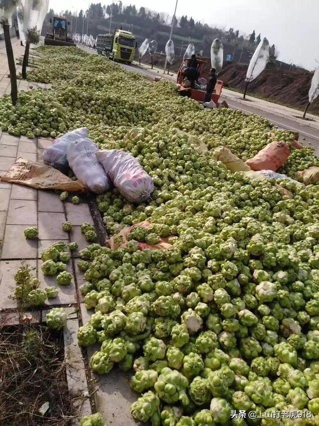 涪陵榨菜什么牌子的好?