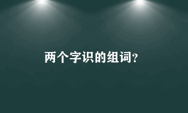 两个字识的组词?