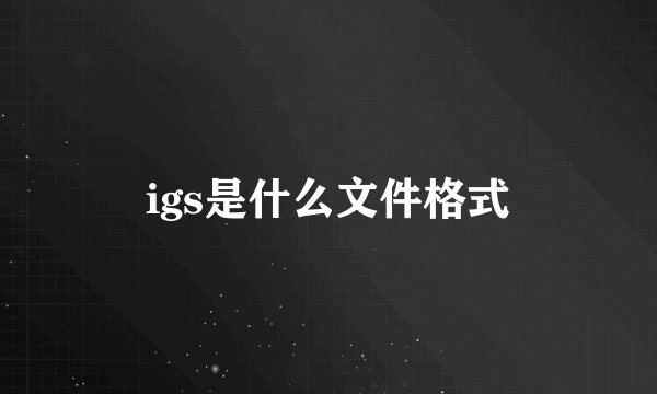 igs是什么文件格式