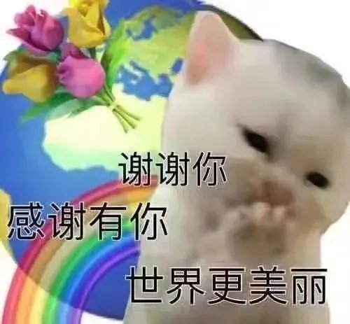 听我说谢谢你什么梗 听我说谢谢你因为有你温暖了四季梗介绍