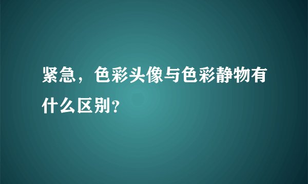 紧急,色彩头像与色彩静物有什么区别?