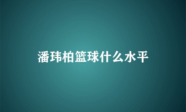 潘玮柏篮球什么水平