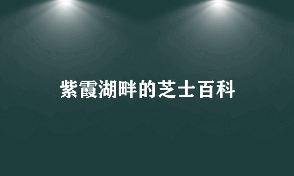 紫霞湖畔的芝士百科