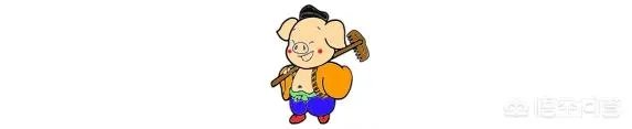 在天津,有哪些堪称“神物”的玩具?
