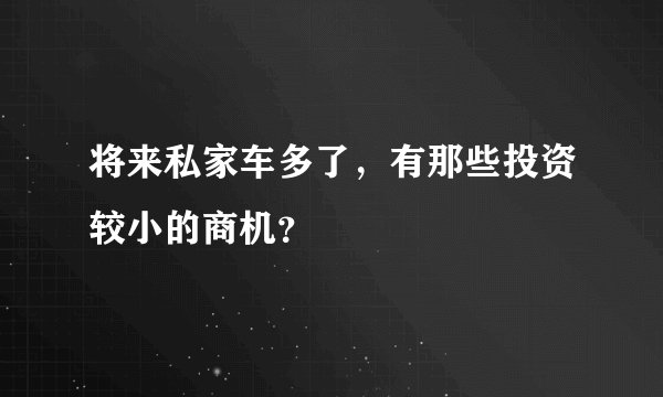 将来私家车多了，有那些投资较小的商机？