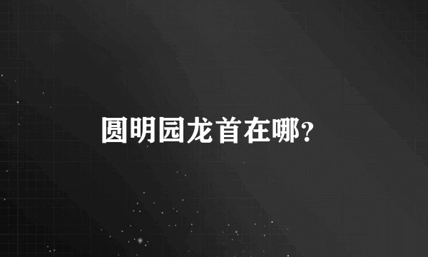 圆明园龙首在哪？