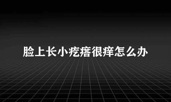 脸上长小疙瘩很痒怎么办