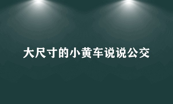 大尺寸的小黄车说说公交
