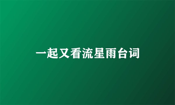 一起又看流星雨台词