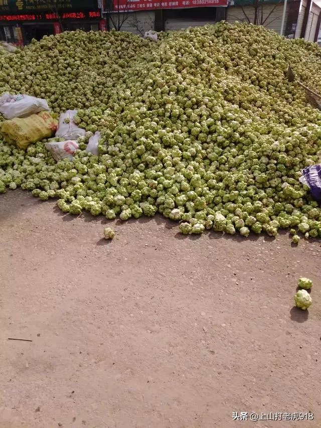 涪陵榨菜什么牌子的好?