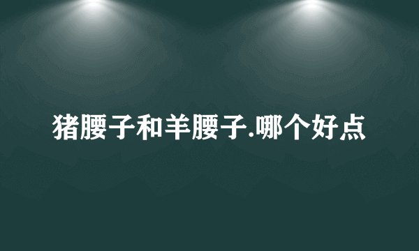 猪腰子和羊腰子.哪个好点
