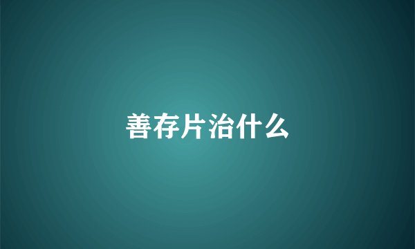 善存片治什么