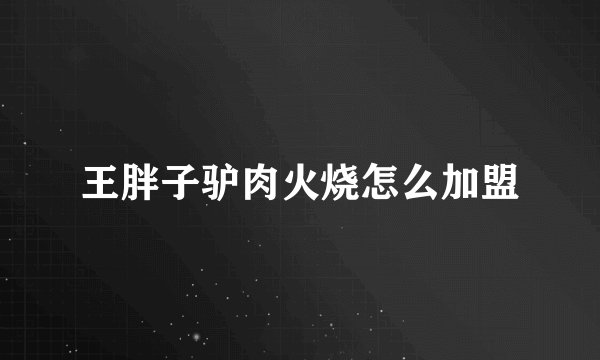 王胖子驴肉火烧怎么加盟