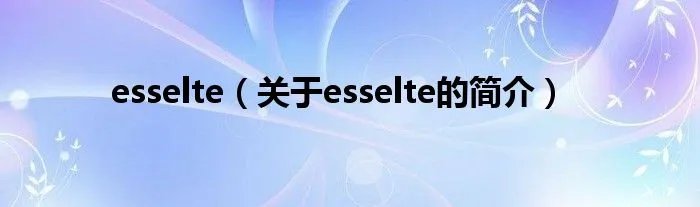 esselte（关于esselte的简介）