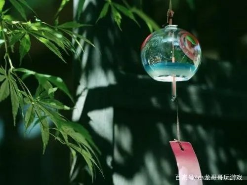 十二星座的守护花精灵