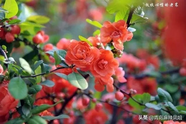 2月底之前,中小学生能不能到校学习?