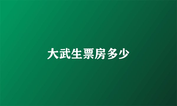 大武生票房多少