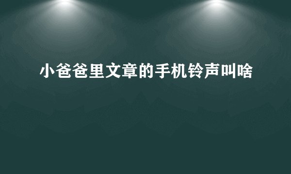 小爸爸里文章的手机铃声叫啥