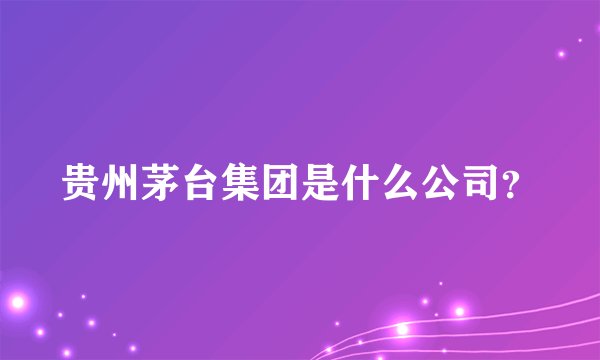 贵州茅台集团是什么公司?