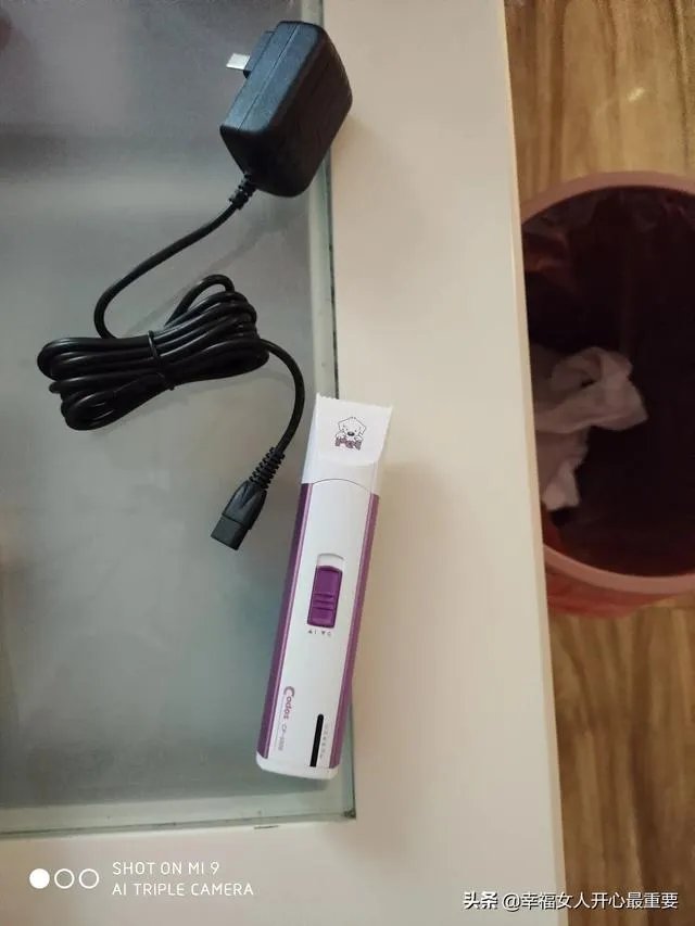养一只柯基一年大概要多少钱?