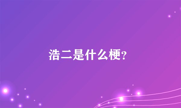 浩二是什么梗？