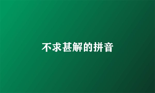 不求甚解的拼音