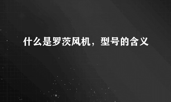 什么是罗茨风机，型号的含义