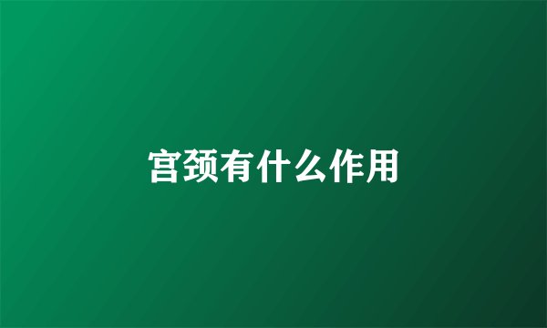 宫颈有什么作用