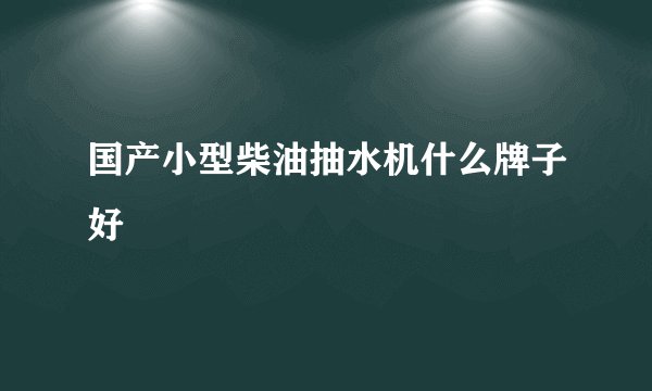 国产小型柴油抽水机什么牌子好