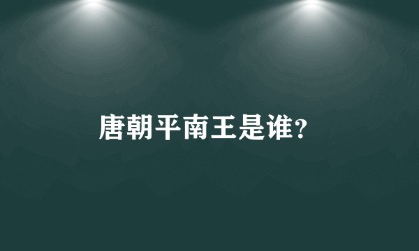 唐朝平南王是谁？