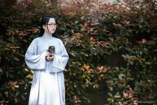 湖南女子给猫咪做汉服,最高一个月挣7万,你如何看待这件事?