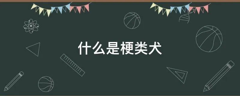 什么是梗类犬