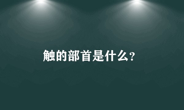 触的部首是什么?