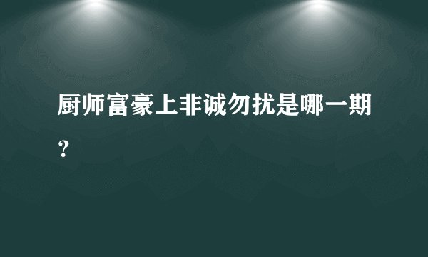 厨师富豪上非诚勿扰是哪一期?