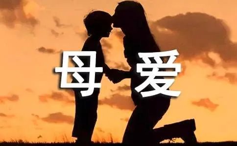 母爱记叙文