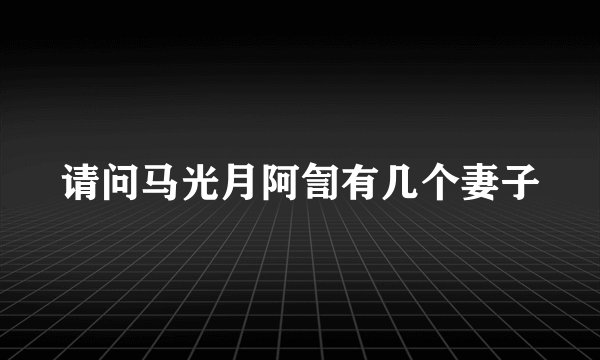 请问马光月阿訇有几个妻子