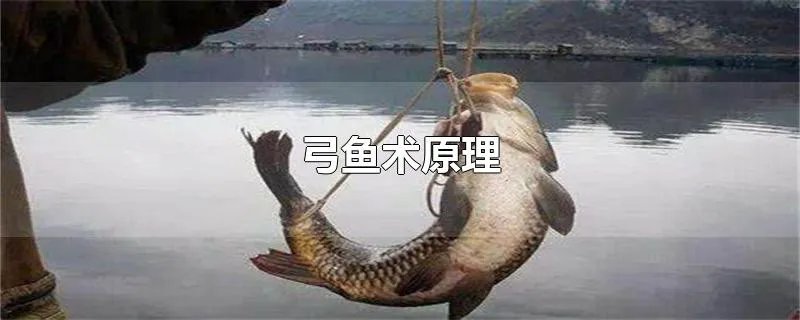 弓鱼术原理