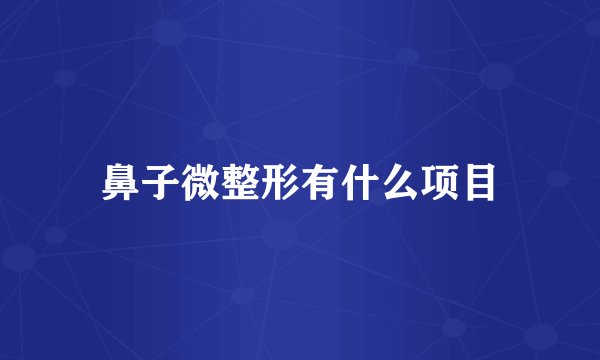 鼻子微整形有什么项目